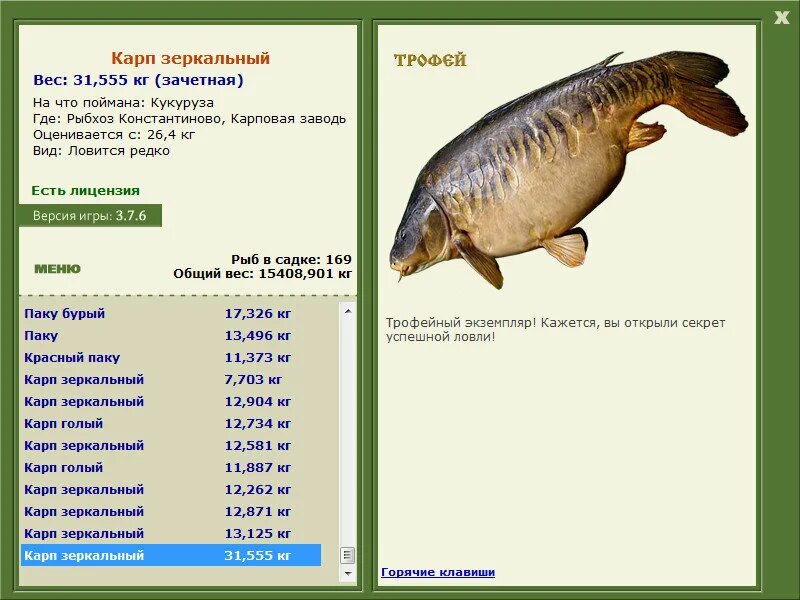 какого размера карп. размер карася по годам. карп сколько кг. карп 5 кг. карп, вес.