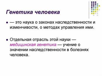 Спейсеры это в генетике
