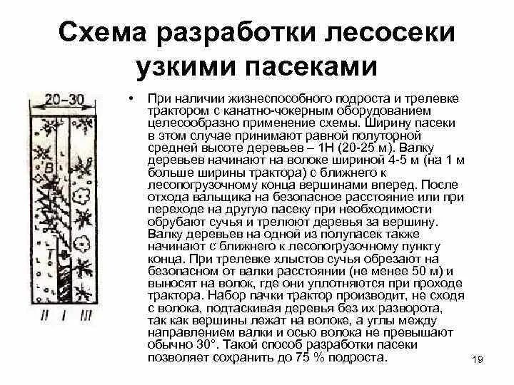 Как сделать чертеж лесосеки в компасе Как распечатать чертеж в Компасе