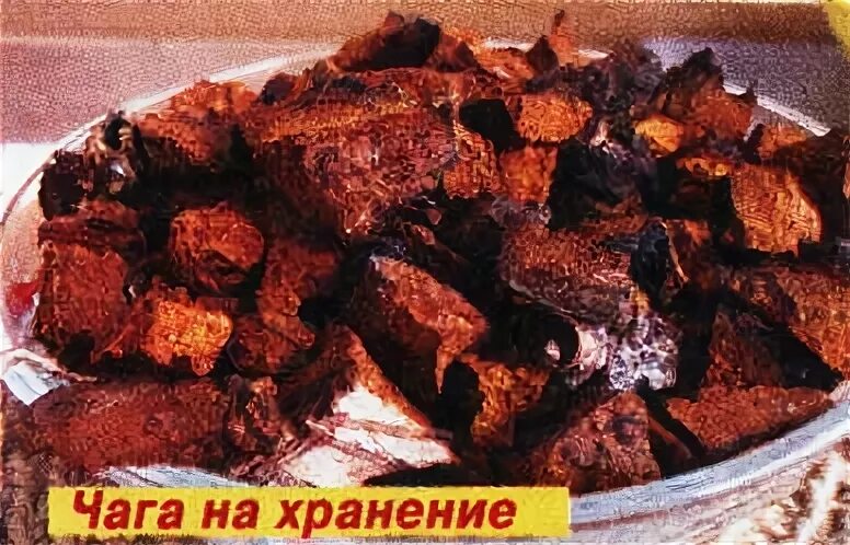 Сколько можно хранить чагу