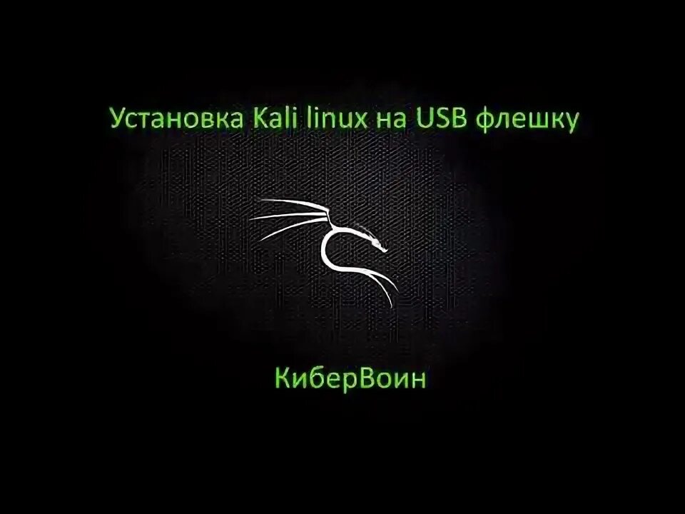 Кали линукс на флешку. Установка kali linux на флешку. флешка kali. установка кали линукс на флешку.
