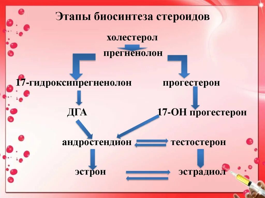 Этапы биосинтеза. Схема биосинтеза стероидов. Биосинтез стероидов.