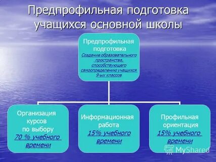 Проекты учащихся 9 класса