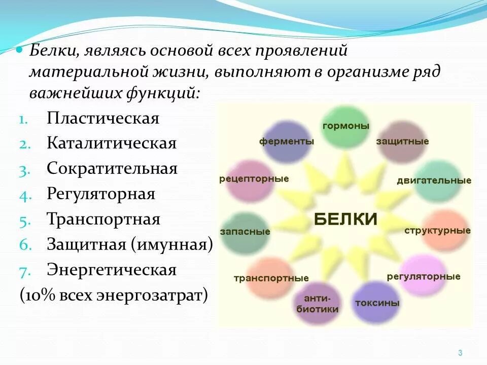 Роль белков в организме человека презентация. Строение и функции белков в организме. Роль белков в организме человека презентация. Важность белков для организма. Роль белка в организме.