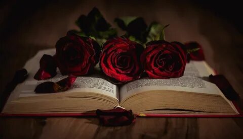 Цветок розы книга