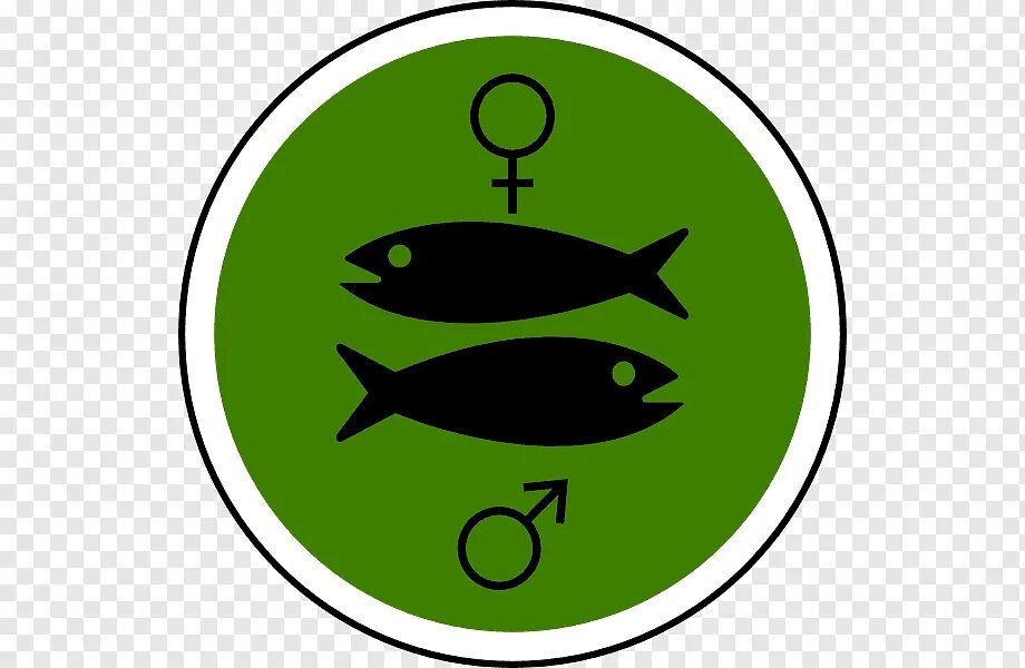 Знак рыбы. Знак рыбы символ. Астрологический символ рыбы. ЗЗ рыбы символ.