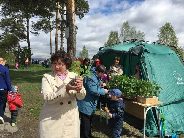 Погода лесосибирск сейчас. Добрый лагерь в Лесосибирске. Телевидение Лесосибирск. Дачи Заря Лесосибирск.