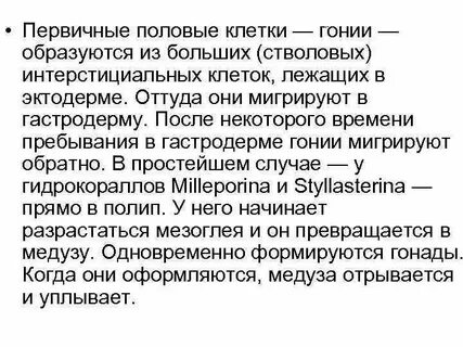 Первичный полом