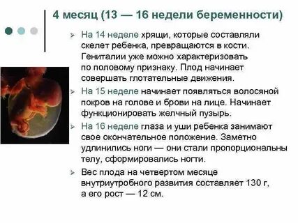 Беременность развитие плода
