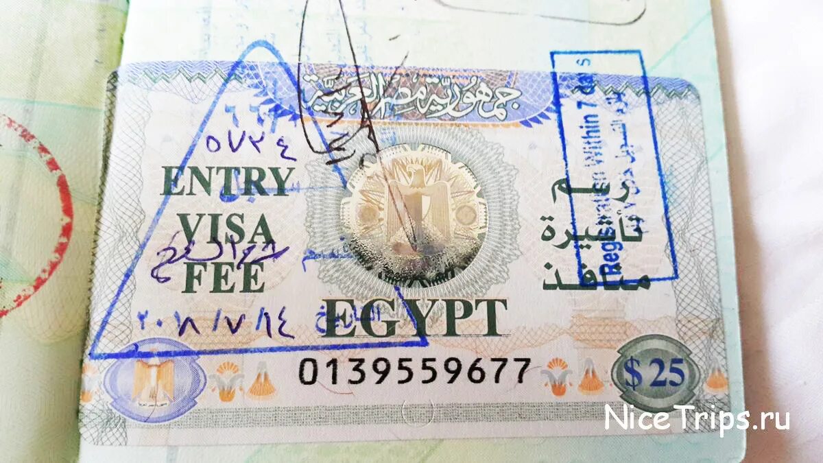 В шарм нужна виза для россиян. Штамп на египетской визе.