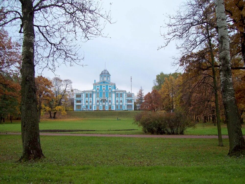 Парк Новознаменка. Новознаменка усадьба Санкт-Петербург. Парк Сосновая Поляна в Санкт-Петербурге Красносельский район. Парк Новознаменка СПБ Красносельский район.