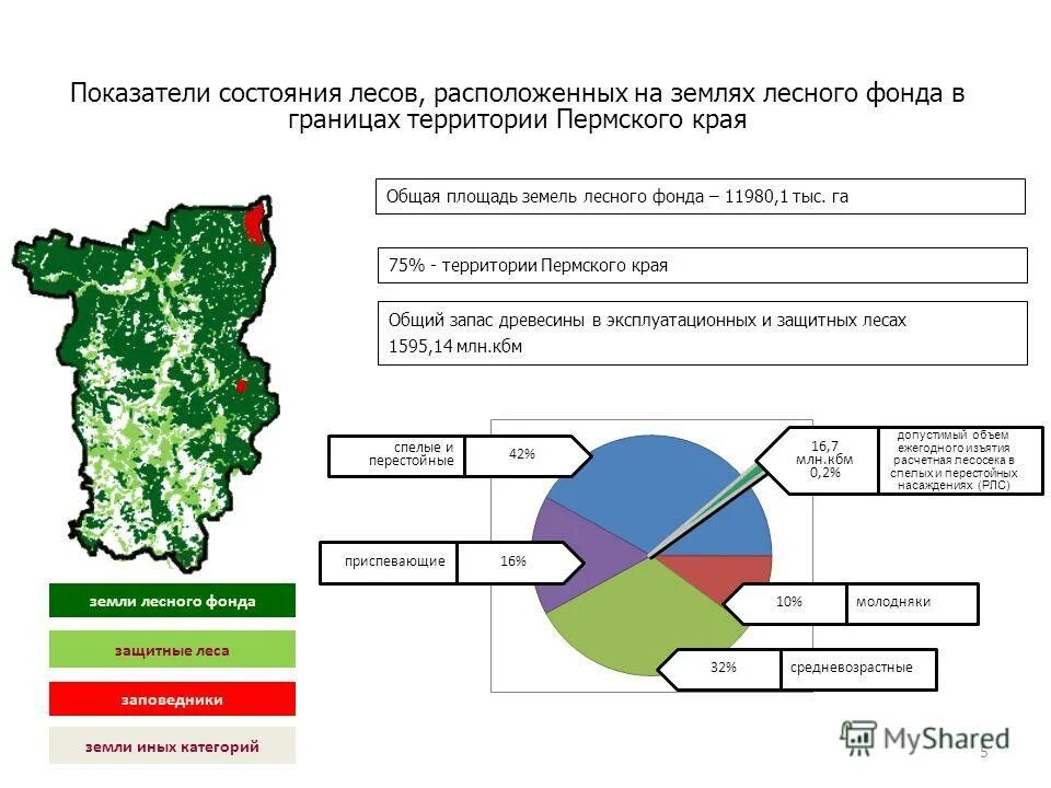 Виды разрешенного использования лесного фонда. Лесной фонд российской федерации площадь. категория земель земли лесного фонда. площадь земель лесного фонда россии. земли лесного фонда защитные леса.