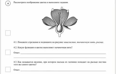 Решу впр биология 7 класс 2025 г. Решу впр биология 7 класс 2025 г