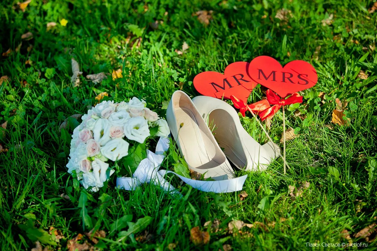 Свадьба на фоне леса природы. Свадьба без людей. Арка для выездной регистрации. Красивые места для свадьбы. Место торжества.