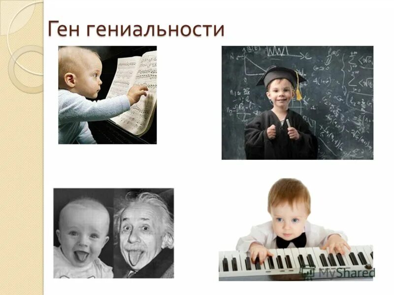 хидео кодзима гений книга. ген гениальности. гены гения хидэо кодзима книга. хидео кодзима гены гения книга содержание. ген гениальности.