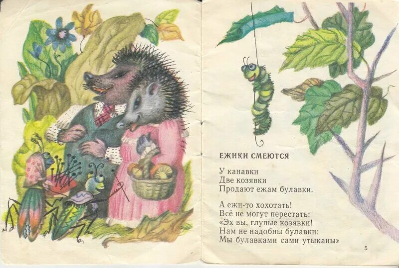 Ежик чуковский. Ёжики смеются Чуковский иллюстрации. Чуковский к.и. "ежики смеются". Чуковский к. «Ёжики смеются», «вышел зайчик погулять». Ёжики смеются Чуковский читать.