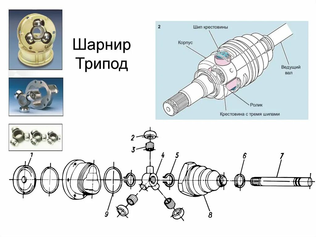 Плунжерный шарнир трипод [Aar]. Шрус трипод схема. Трипод шарнир равных угловых скоростей. Внутренний шарнир ТРЕХШИПОВЫЙ универсальный типа «трипод».