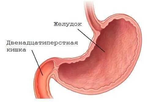 Как проверить 12 перстную