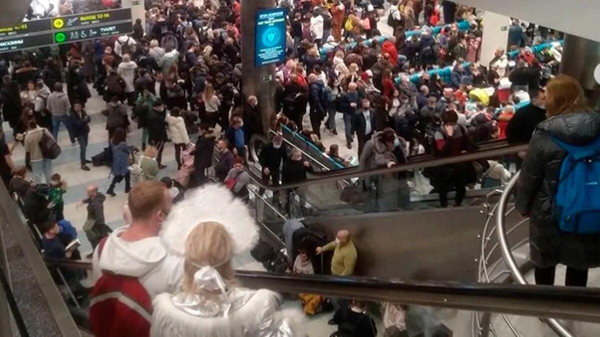 Очередь в аэропорту домодедово. Ситуации в аэропорту. Очередь в аэропорту. Работники аэропорта. Очередь в аэропорту.