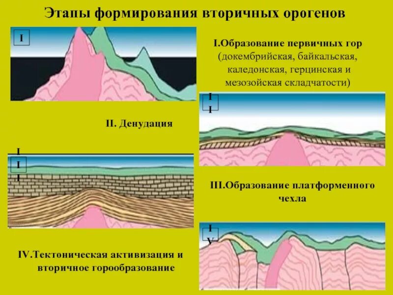 Что является причиной образования гор. Этапы горообразования. Этапы образования гор. Этапы образования складчатых гор. Этапы орогенеза.