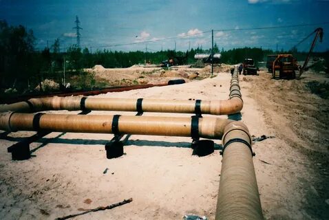 Сливовый облегченный закупорив красивее нефтепровод