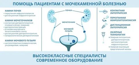 Почки частые мочеиспускания