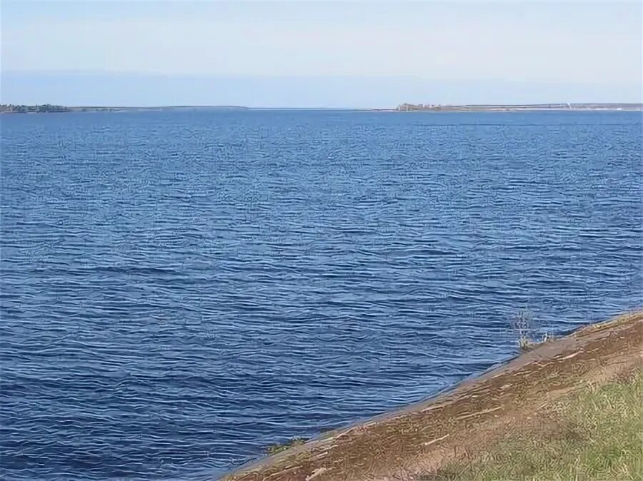 Сосенка вилейский. Сосенка. Литва видишкес. Вилейское водохранилище мост. Игналинские озера литва.