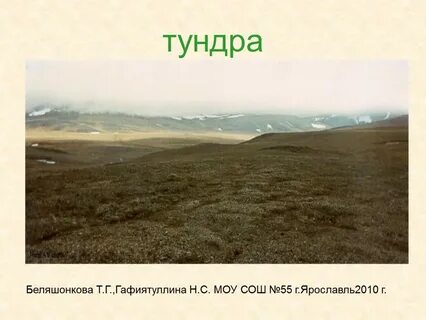 Тундра 4 класс плешаков
