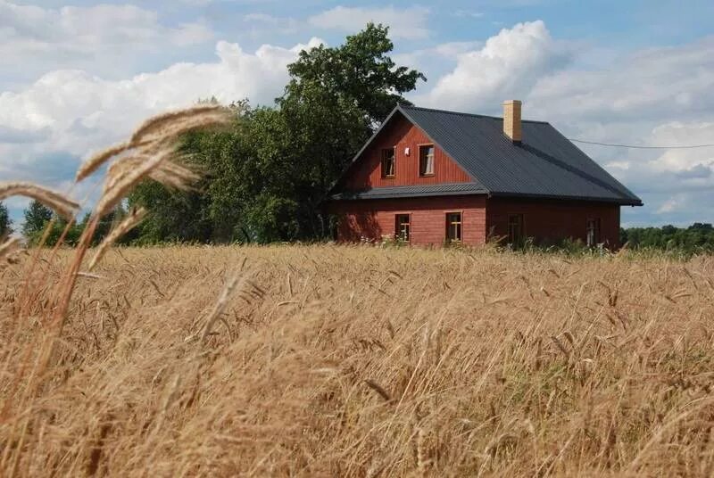 Деревня стала. Дом в деревне. Загородная Идиллия. До и после деревенский дом в деревне. Умные дома в деревне.