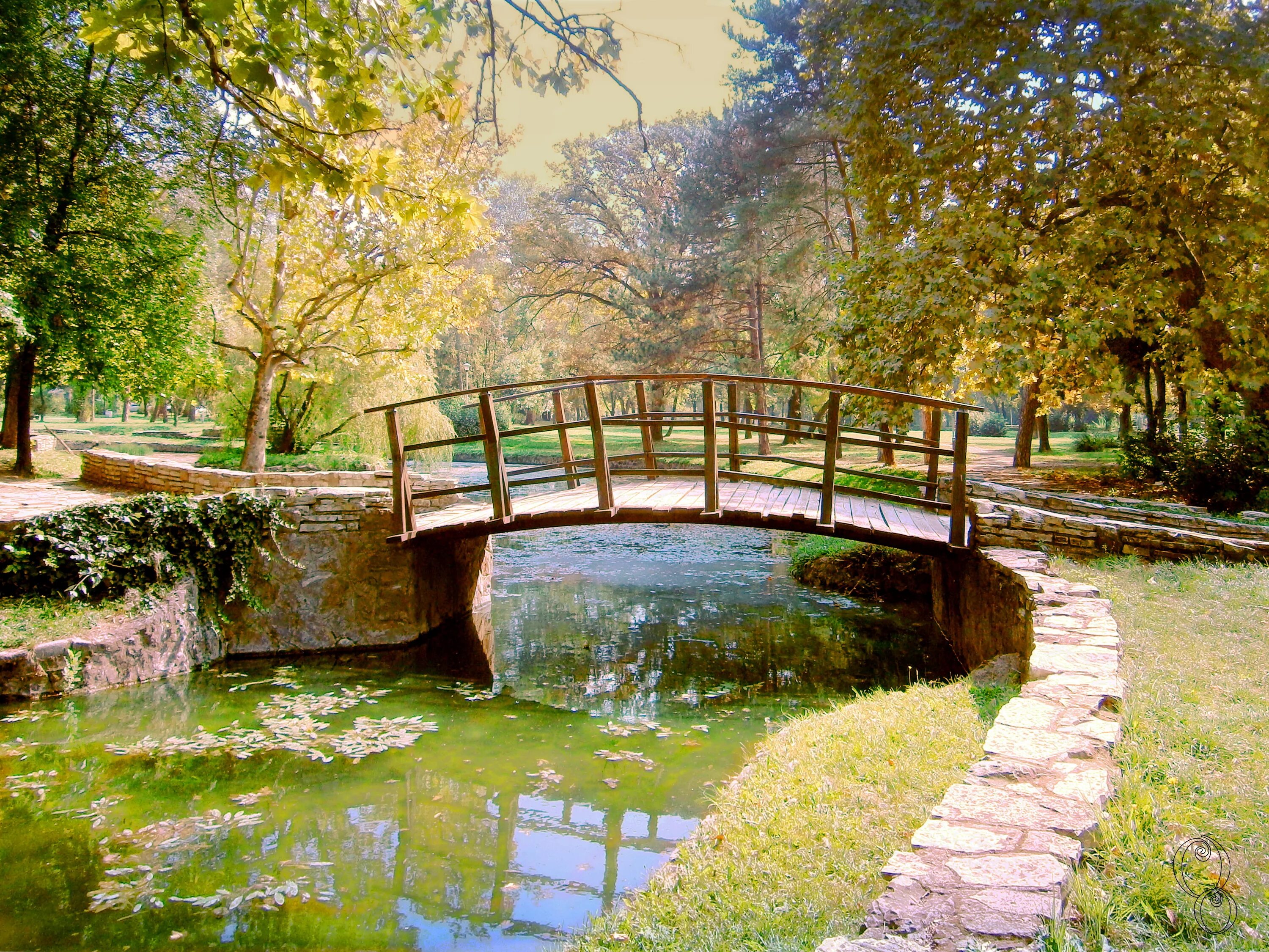 Парковая телефон. Летний парк. Парковая телефон. Грин форест парк. Парковая телефон.