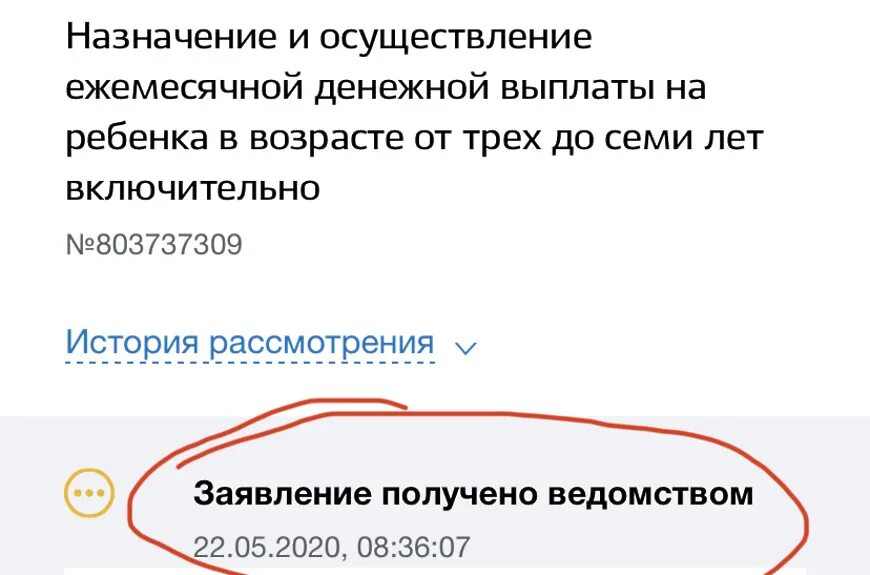 Узнать статус заявления на пособие. Статусы заявлений на госуслугах. Статусы рассмотрения заявления на госуслугах. Номер заявления на госуслугах проверить статус. Проверить статус обращения на госуслугах.