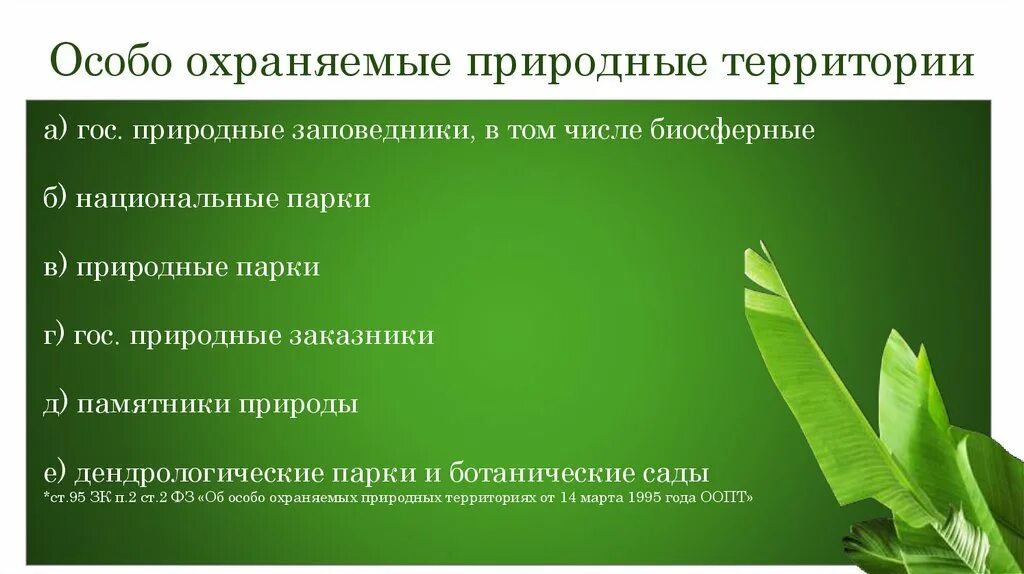 Как называется вид особо охраняемых природных территорий. Охраняемые природные территории. Особорхраняемые природные территории. Охраняемые объекты природы. Особо охраняемые природные территории (ООПТ).