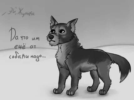 Жучка огэ