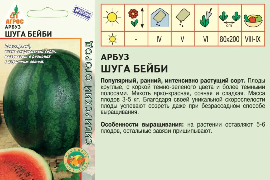 Арбуз sugar baby. Арбуз шуга бейби отзывы. Гавриш арбуз шуга бейби. Арбуз шуга бейби, 1,0г, удачные семена. Сорт арбуза шуга бейби.