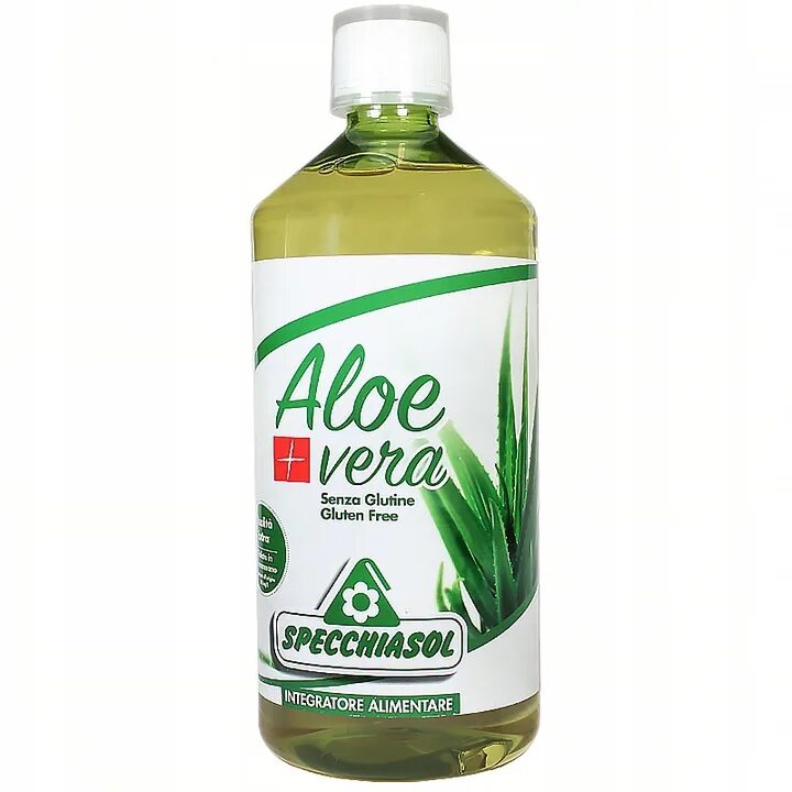 Aloe vera купить