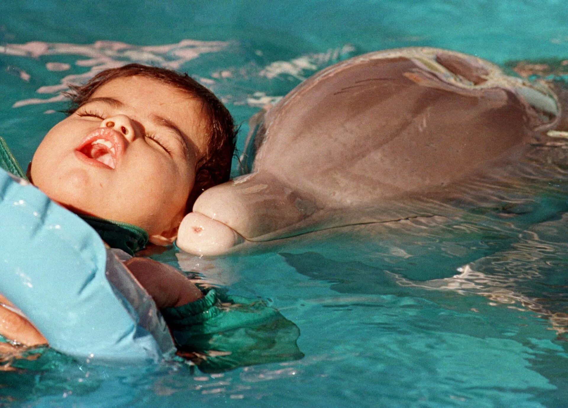 Есть ли дельфин людей. Дельфины спасают людей. Дельфин спасает человека. Дельфины спасают тонущих людей. Дельфины спасатели.