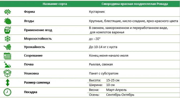 Зимостойкость деревьев таблица. Таблица плодовых деревьев на Морозостойкость. Морозостойкость дерева. Таблица зимостойких деревьев и кустарников. Сроки созревания яблони