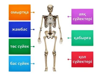 Кемпірмен порно видео