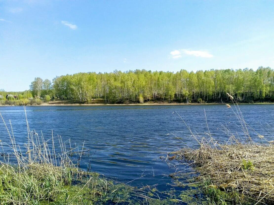 Озера рядом с деревнями. Река Качимовка Новосибирск. Озеро Качимовка. Юго -озеро Новосибирск. Мертвое озеро.