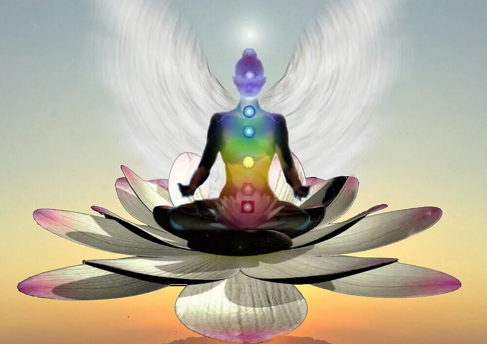 Медитация цветами. Блаженство чакр. Будда лотос. Медитация цветами. Медитация цветами.