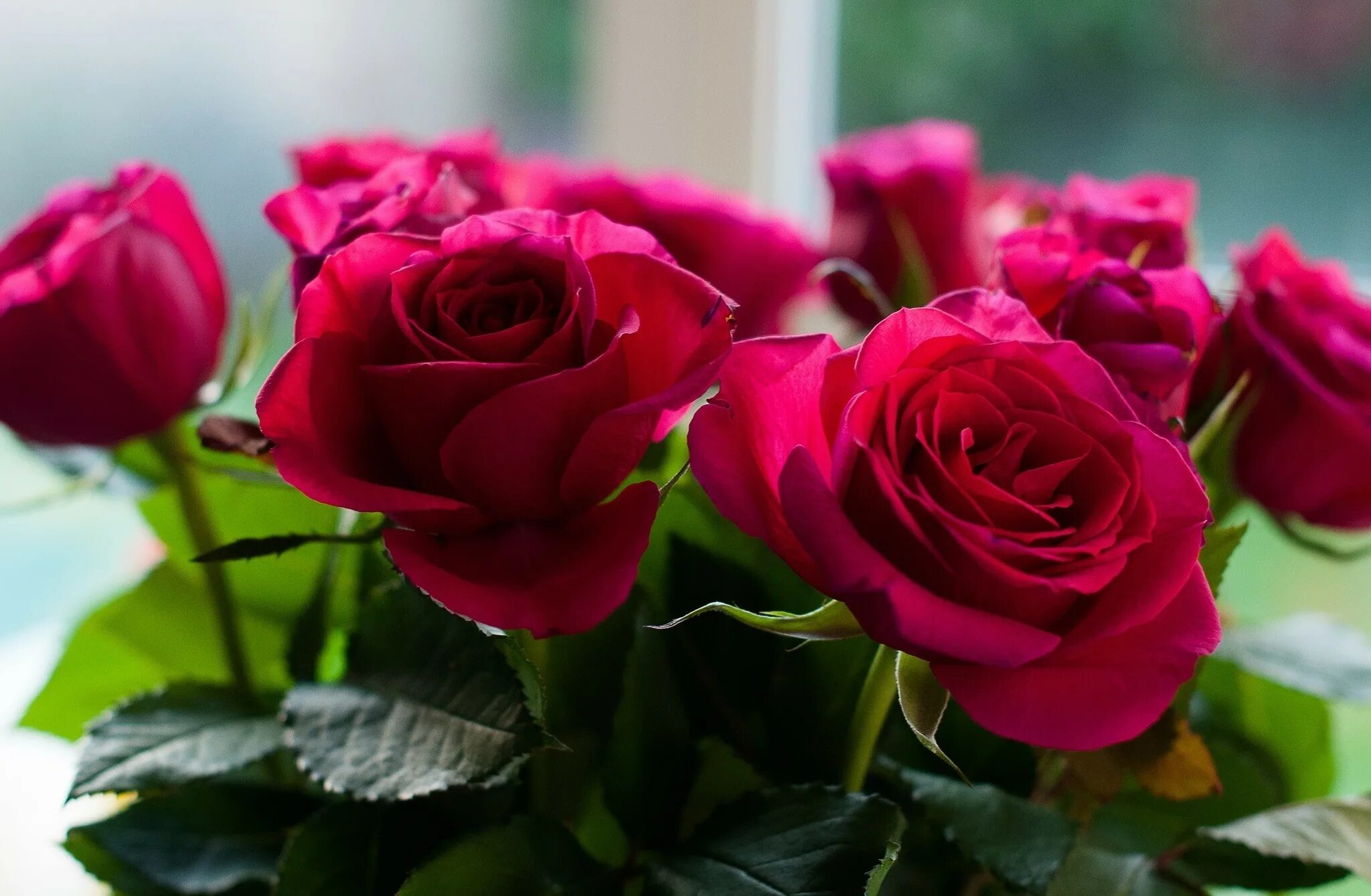 Поздравительные картинки на телефон. Шикарные цветы. Открытка цветы. Открытки с розами.