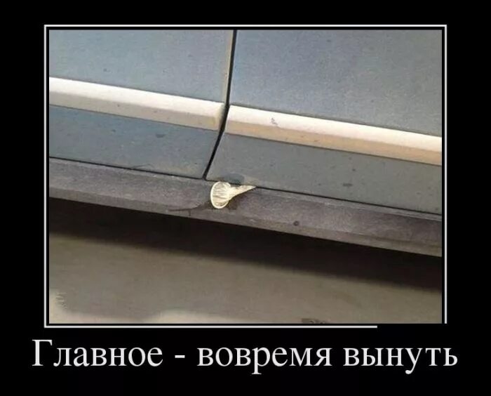 Не стал вытаскивать. Не стал вытаскивать