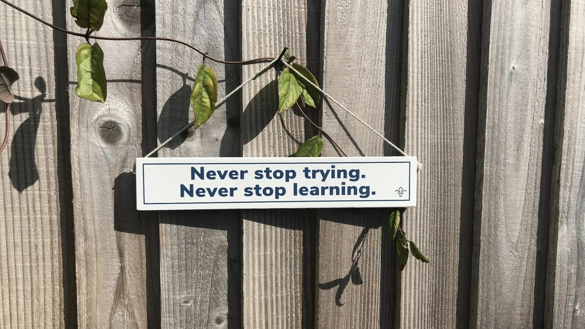 Try to stop us. Never stop learning. never stop learning wallpaper. never stop learning because life never stops teaching. never stop growing.