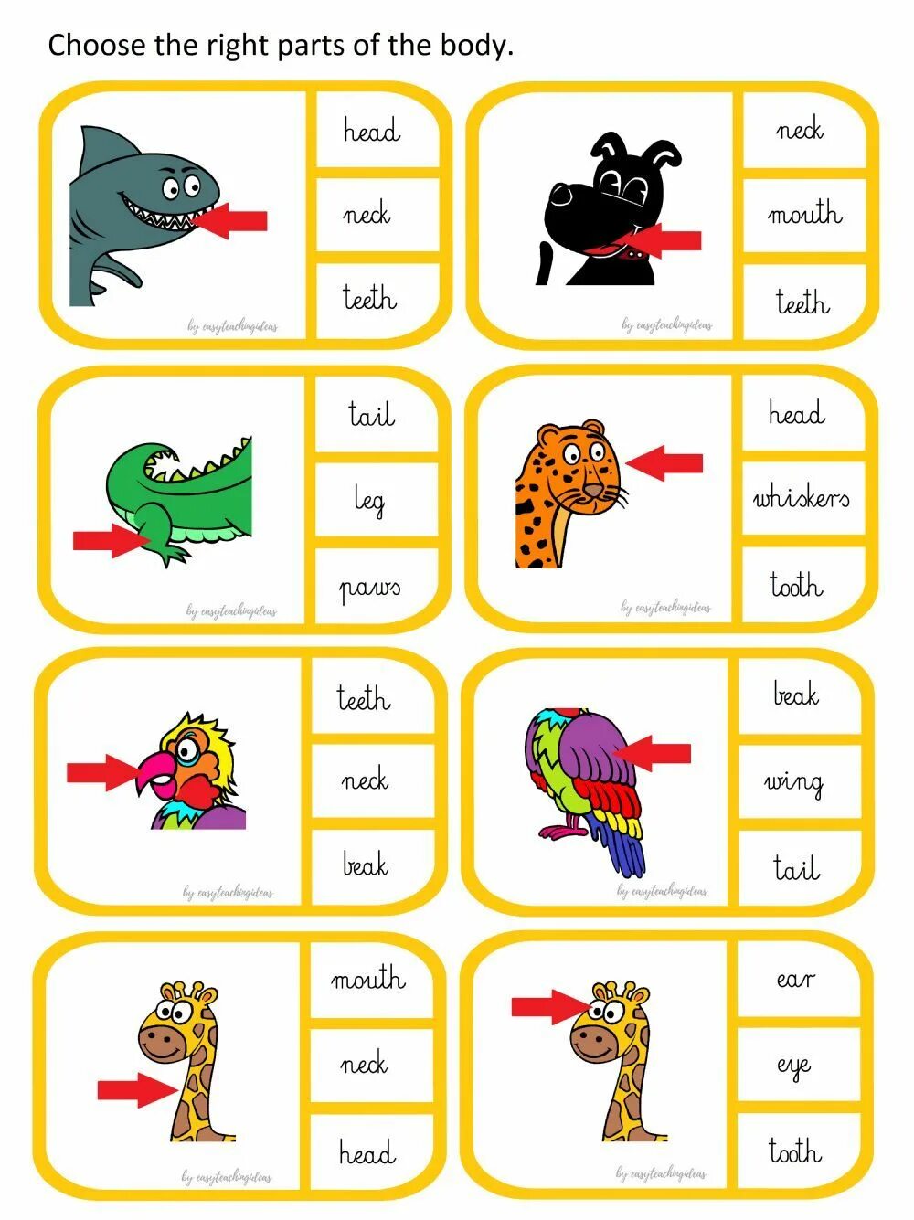 Animal body parts worksheets for kids. Animals parts worksheets for kids. Части тела животных worksheets. Части тела животных worksheets for kids. Part of animal's body 3 класс.