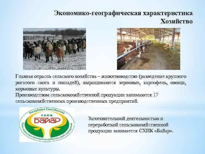 Экономико географическая характеристика сельского хозяйства. Экономико-географическое положение туркменистана. Экономико-географическая характеристика отрасли мирового хозяйства. Характеристика хозяйства страны. Вывод эгх австралии.