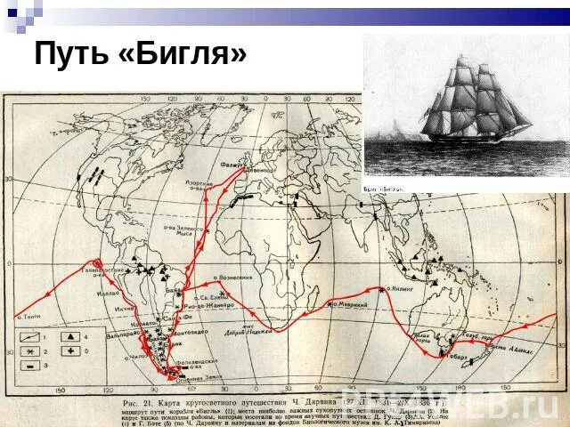 Кругосветное путешествие Чарльза Дарвина. Маршрут кругосветного путешествия Чарльза Дарвина. Кругосветное путешествие Чарльза Дарвина карта. Кругосветное путешествие Дарвина на корабле Бигль. Ч дарвин кругосветное путешествие