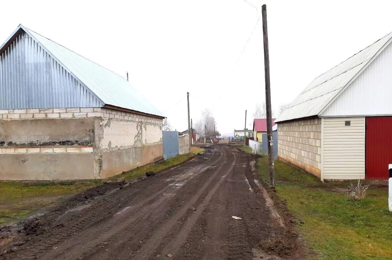 Мичкасские Выселки Нижнеломовского района. Мичкасские Выселки Пензенская область. Село Мичкасские Выселки. Норовка Нижнеломовский район. Ремонт выселки