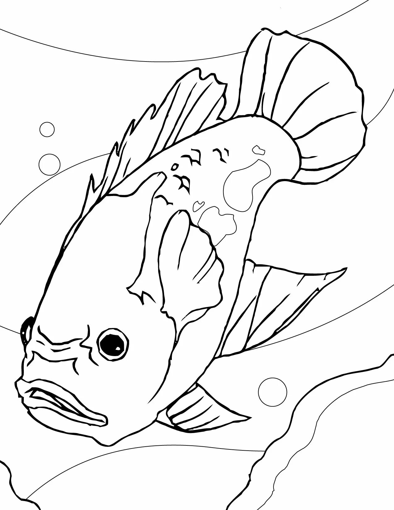 Раскраска рыбы для детей 6 лет. Скалярия аквариумная рыбка раскраска. Раскраска рыбка. Рыба раскраска для детей. Рыбка раскраска для детей.