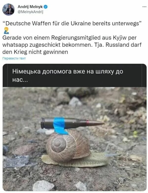 В нем с помощью