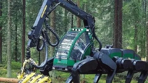 Tree harvester